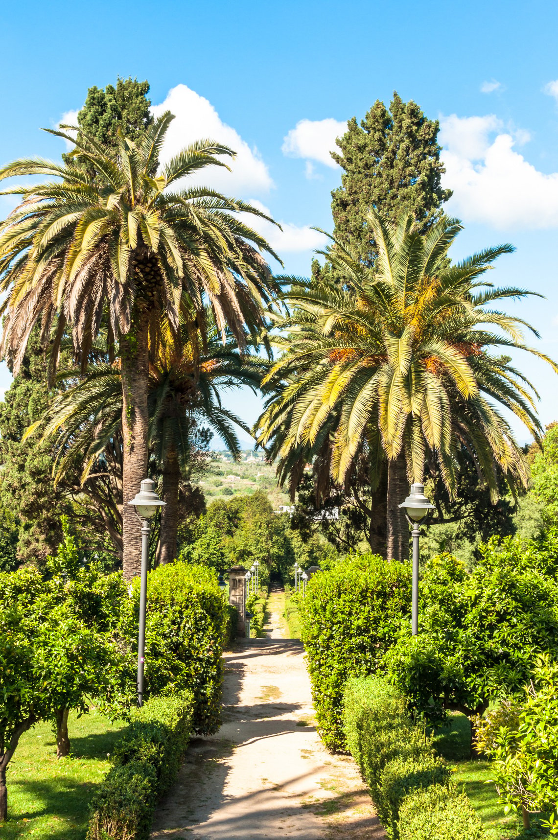 Monserrato park in spring sassari italy